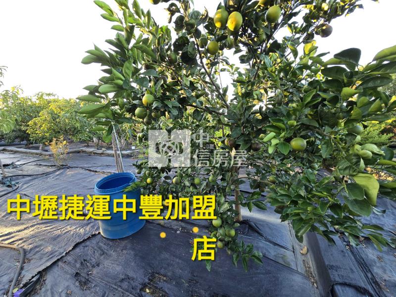 近青埔高鐵便宜大資材室房屋室內格局與周邊環境