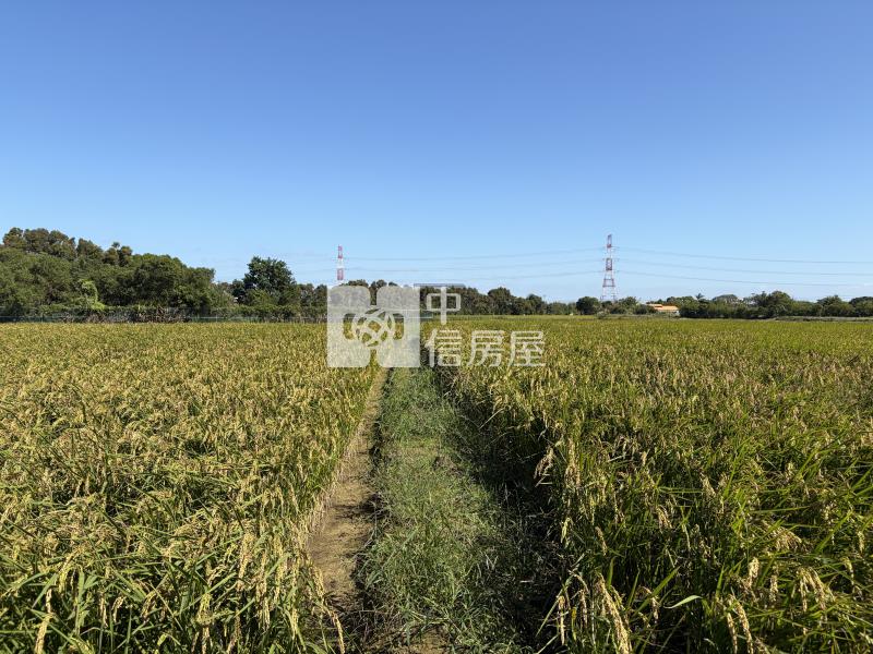 楊梅富岡車站超值農地房屋室內格局與周邊環境