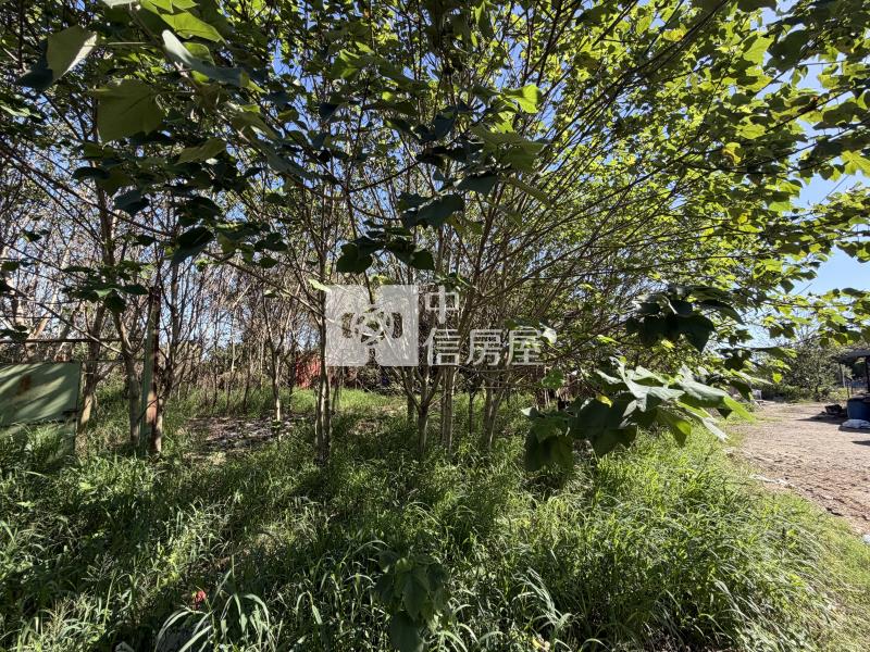 楊梅富岡車站超值農地房屋室內格局與周邊環境