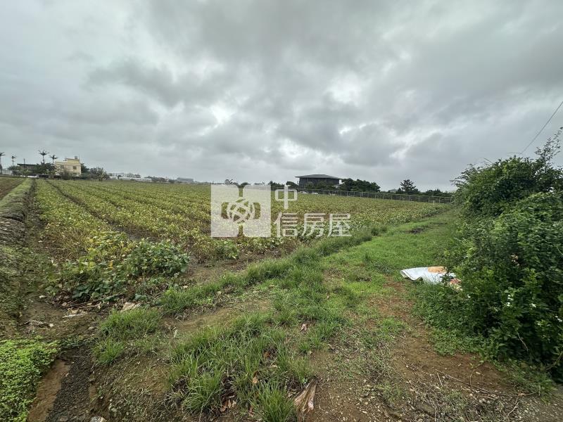 (專)觀音近66美農地(三)房屋室內格局與周邊環境