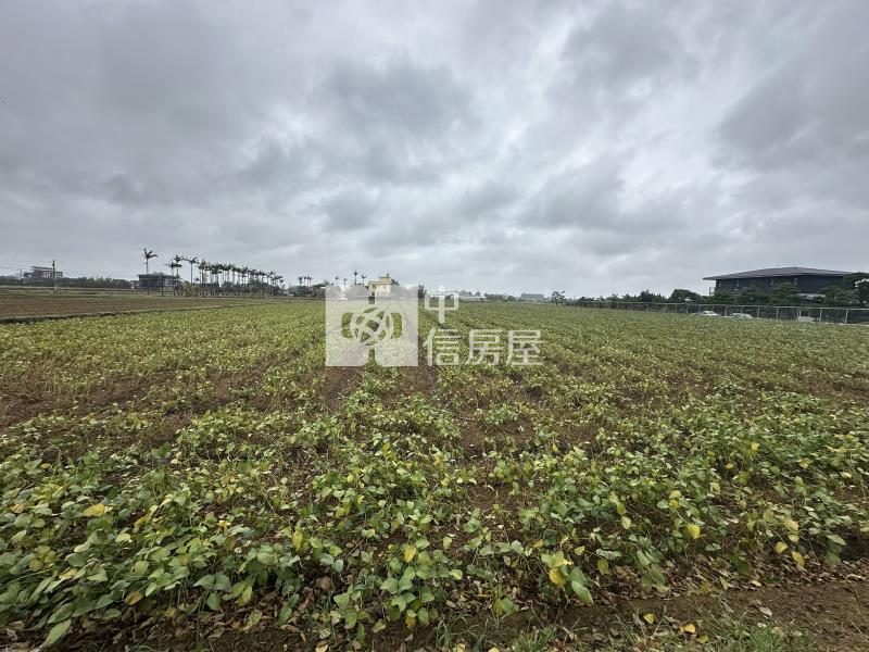 (專)觀音近66美農地(三)房屋室內格局與周邊環境