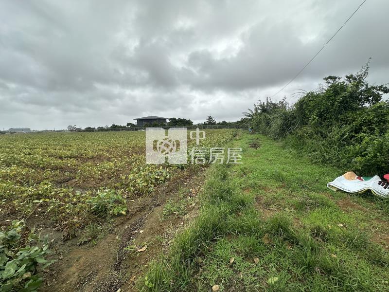 (專)觀音近66美農地(三)房屋室內格局與周邊環境