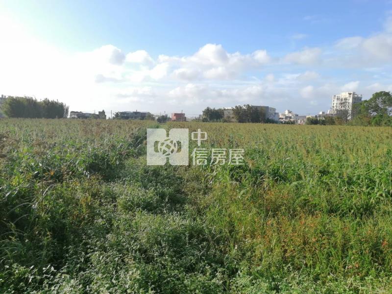 觀音近新坡國小都內農房屋室內格局與周邊環境