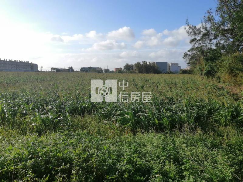 觀音近新坡國小都內農房屋室內格局與周邊環境