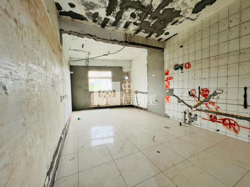 桃園中路旁大地坪別墅房屋室內格局與周邊環境