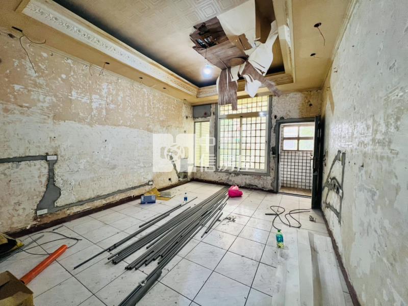 桃園中路旁大地坪別墅房屋室內格局與周邊環境