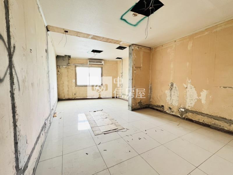 桃園中路旁大地坪別墅房屋室內格局與周邊環境