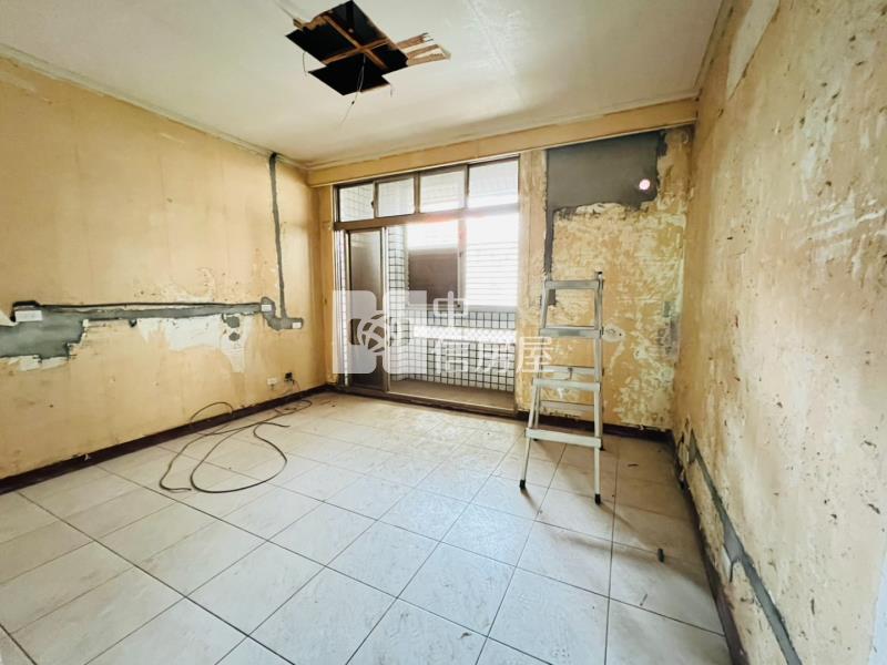 桃園中路旁大地坪別墅房屋室內格局與周邊環境