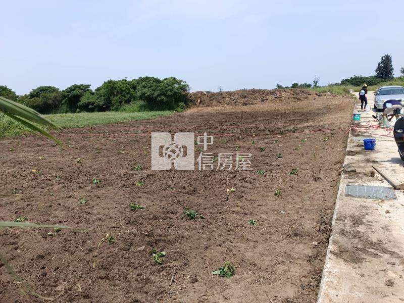 【奔馳】金門縣金寧鄉西堡農地房屋室內格局與周邊環境