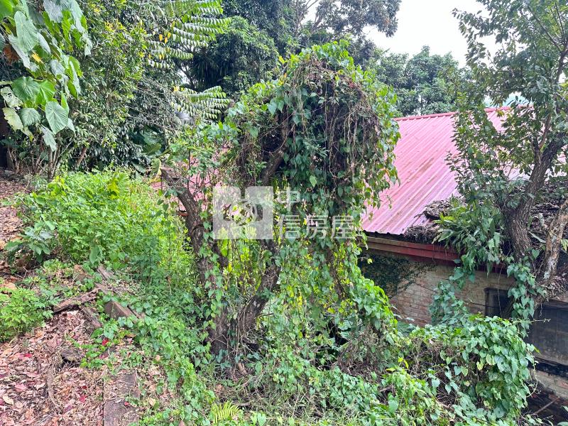 G038南投學區旁乙種持分建地房屋室內格局與周邊環境