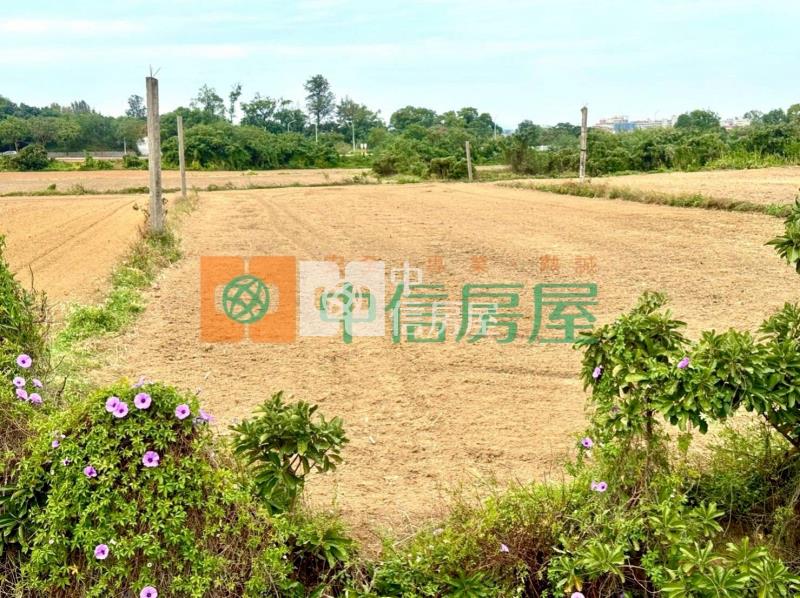 金沙蔡厝美農地房屋室內格局與周邊環境