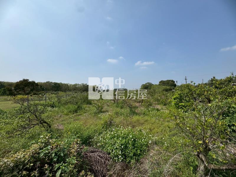 白河買農+建地送平房房屋室內格局與周邊環境