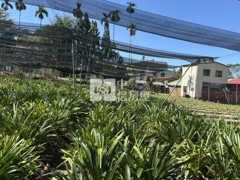 枇杷田加建房屋室內格局與周邊環境