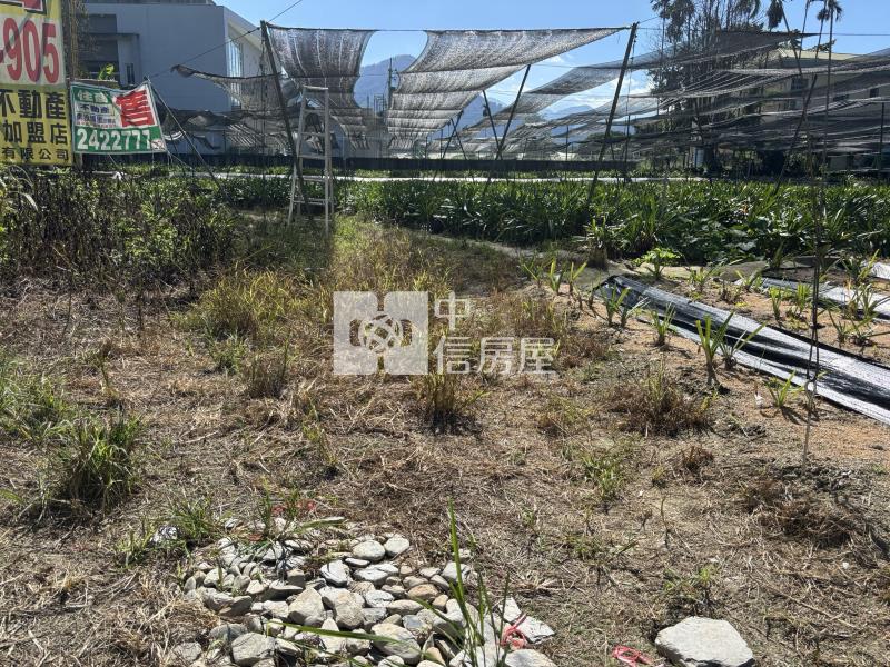 枇杷田加建房屋室內格局與周邊環境