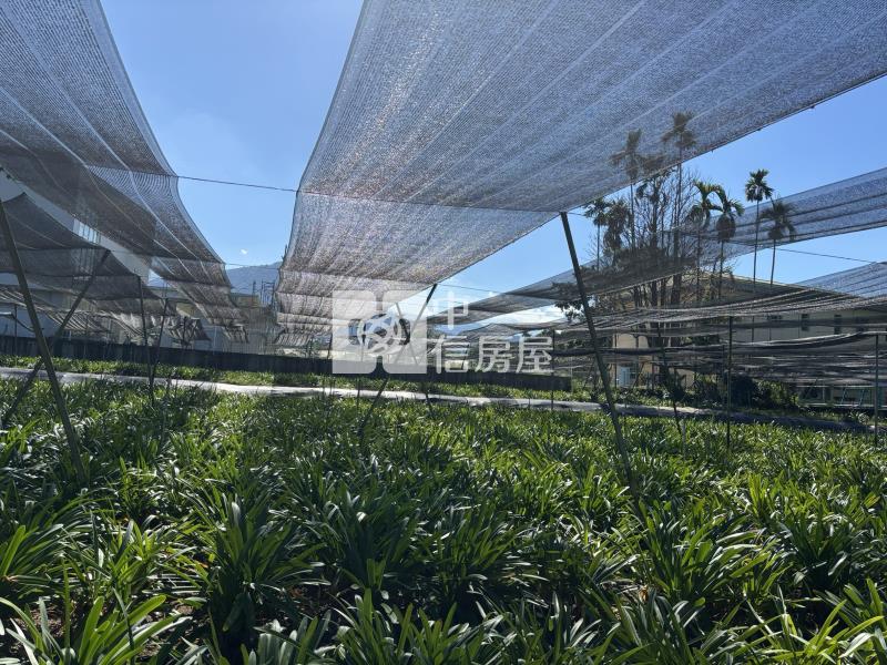 枇杷田加建房屋室內格局與周邊環境