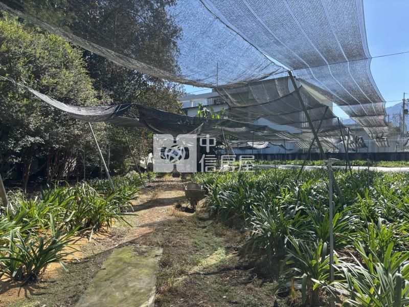 枇杷田加建房屋室內格局與周邊環境