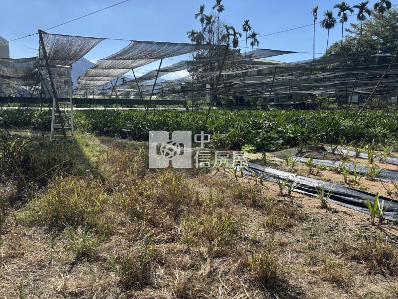 枇杷田加建房屋室內格局與周邊環境