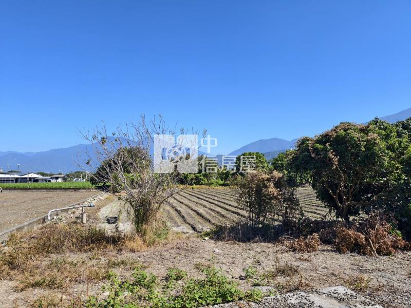 珠生農地附送合法許可容積室房屋室內格局與周邊環境