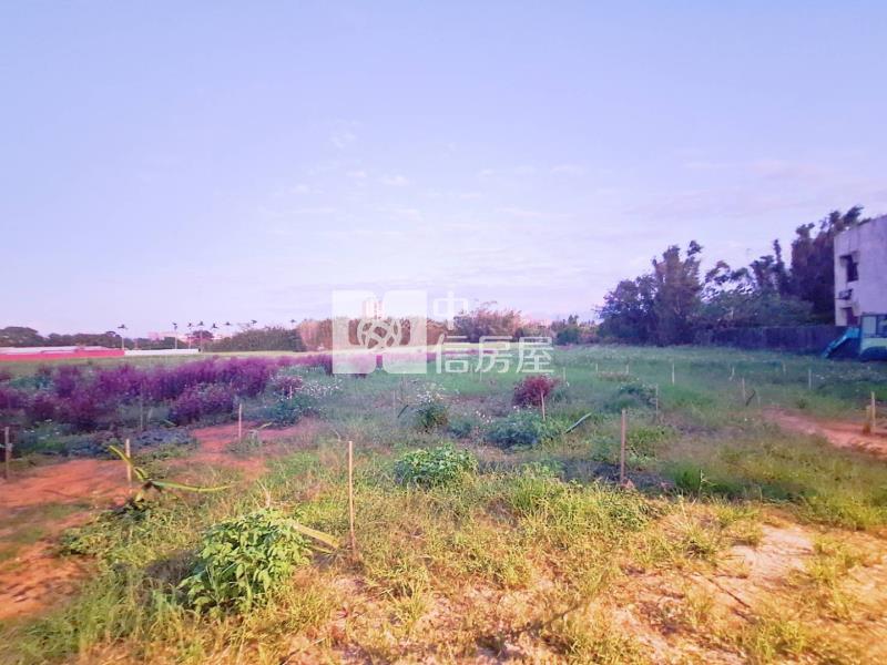 龍潭龍平路大面寬美農地房屋室內格局與周邊環境