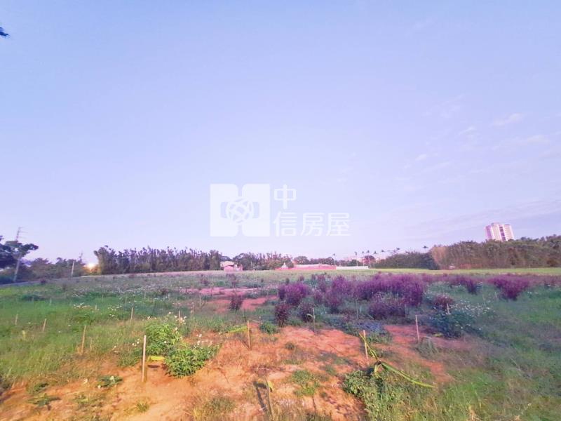 龍潭龍平路大面寬美農地房屋室內格局與周邊環境