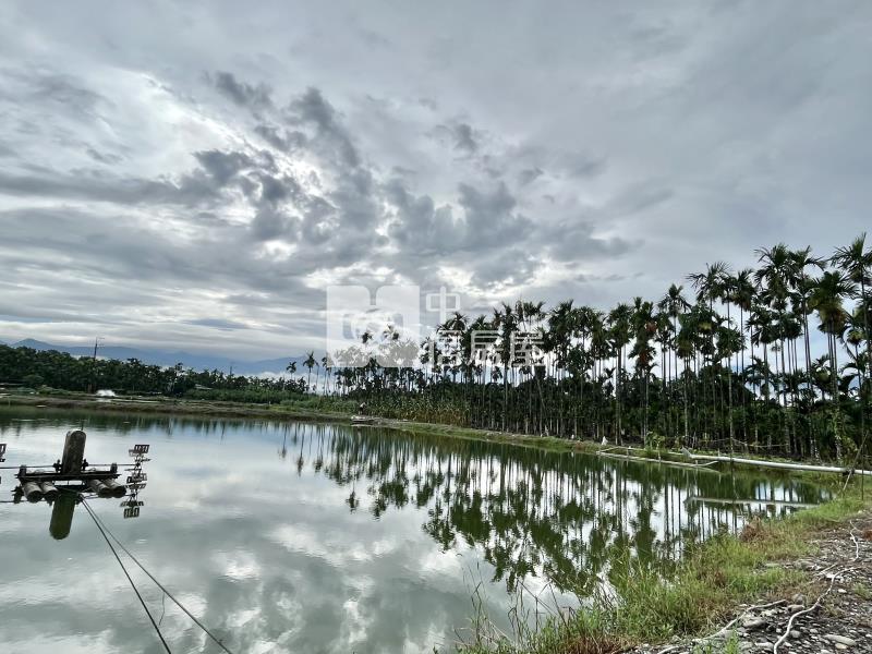 鹽埔大仁科大農地房屋室內格局與周邊環境