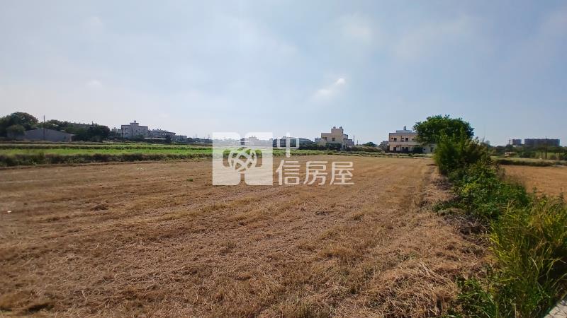 ㊣月桃路前後臨路農地601房屋室內格局與周邊環境