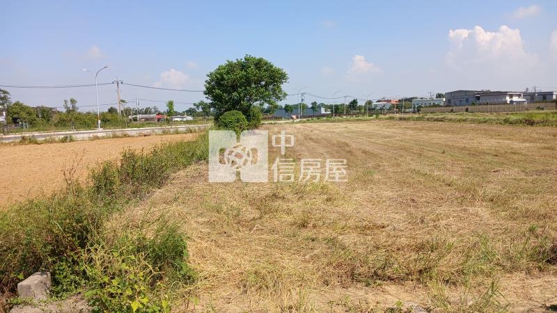 ㊣月桃路前後臨路農地601房屋室內格局與周邊環境