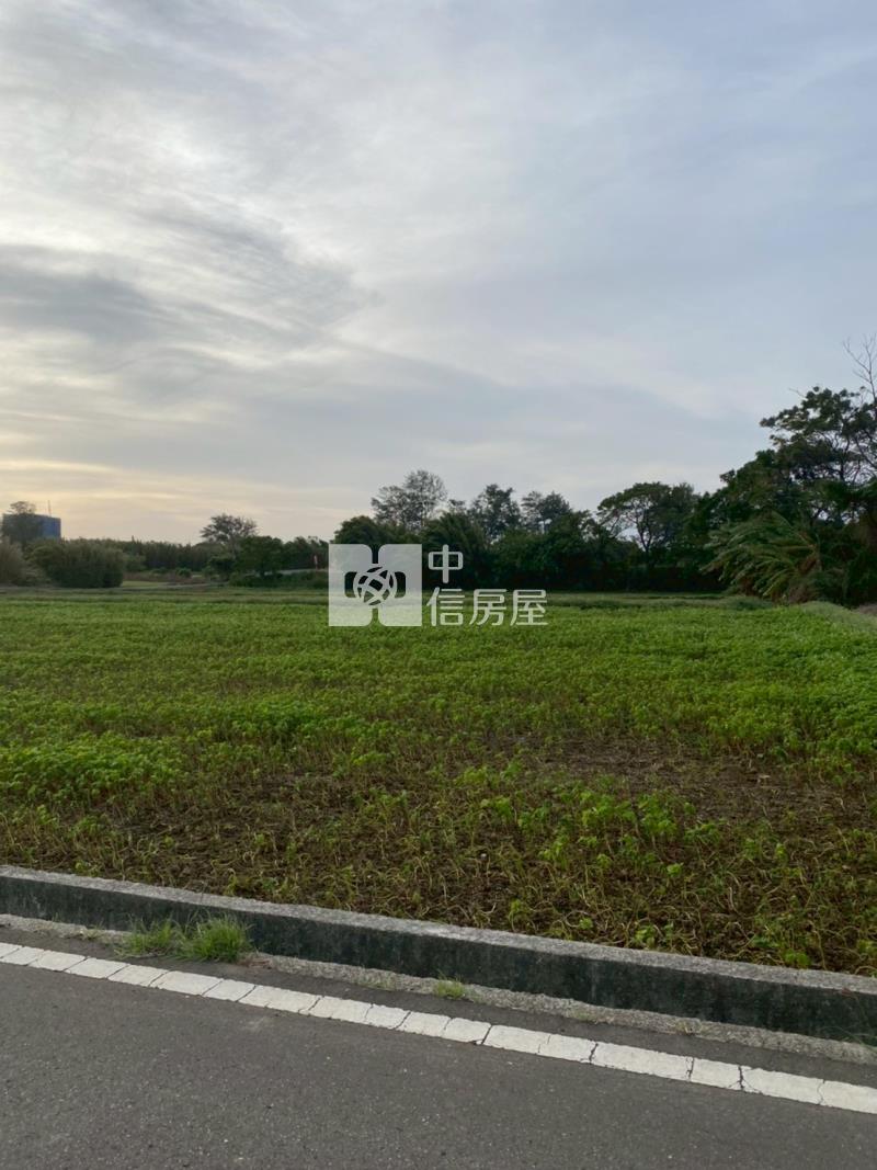 山東路農地附鋼構溫室容許房屋室內格局與周邊環境