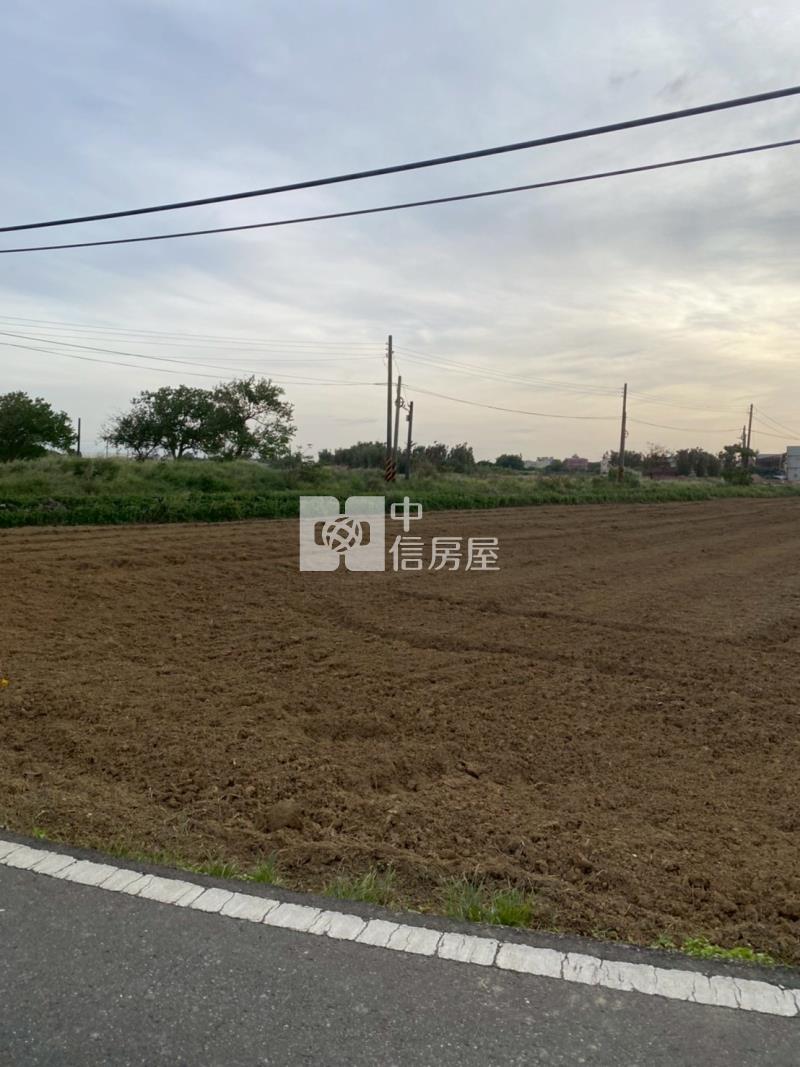 山東路農地附鋼構溫室容許房屋室內格局與周邊環境