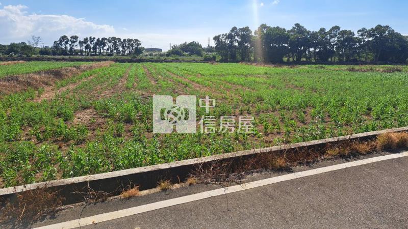 新屋台15漂亮一般農房屋室內格局與周邊環境