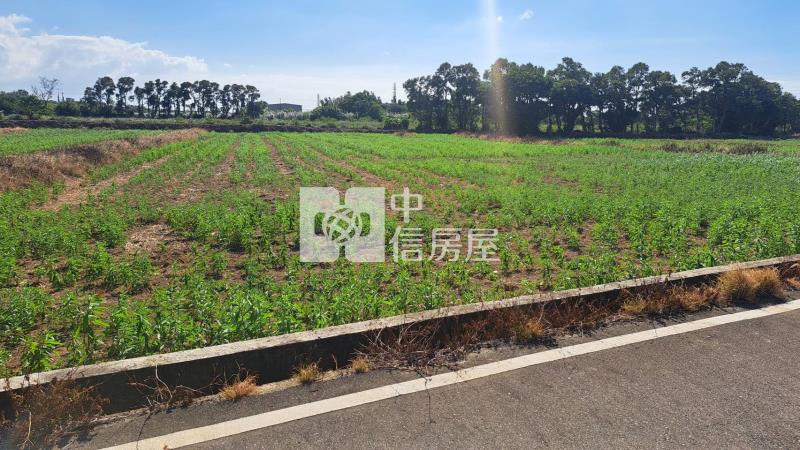 新屋台15漂亮一般農房屋室內格局與周邊環境