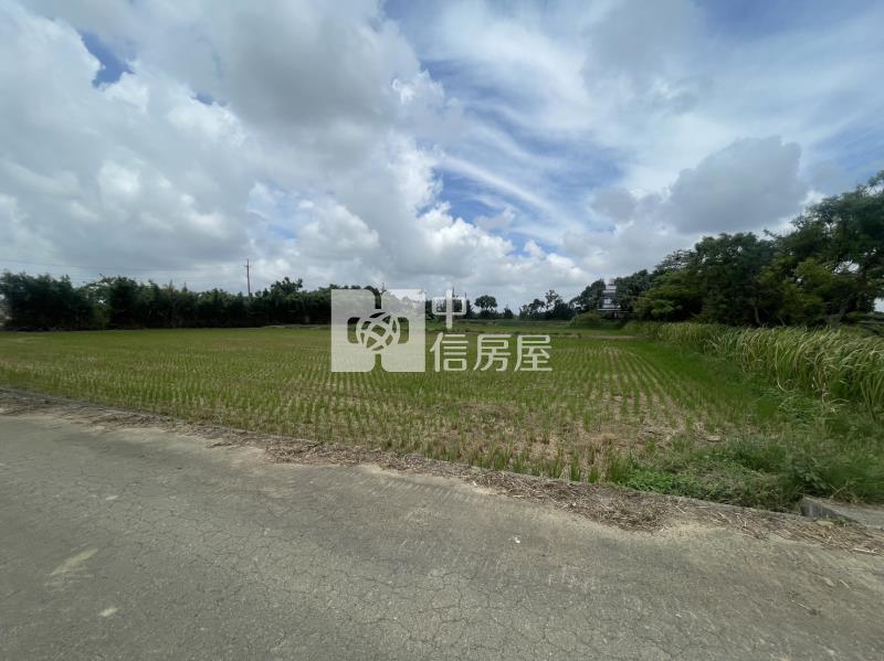 楊梅富岡國小方正農地房屋室內格局與周邊環境