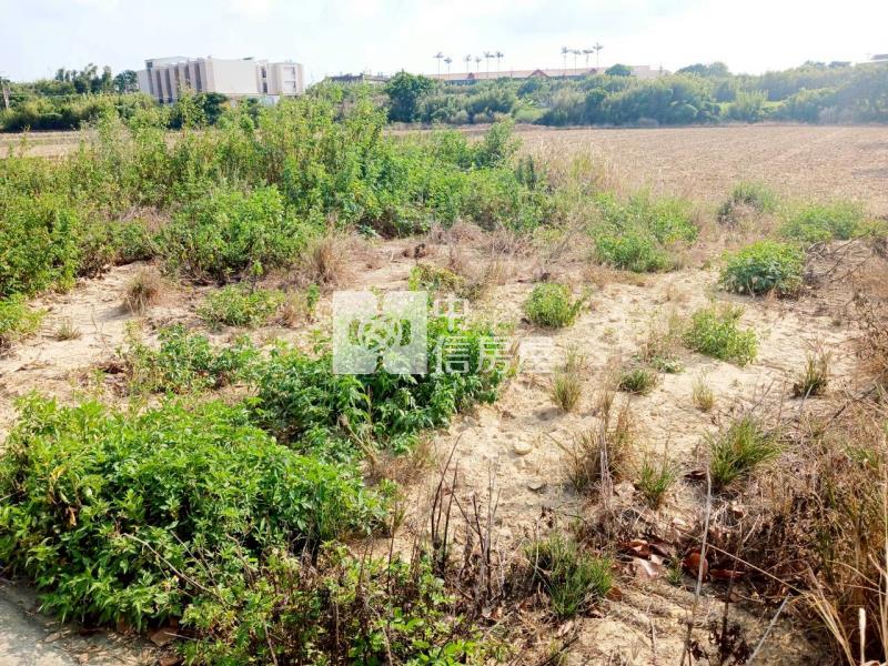 社子國小8米路農地房屋室內格局與周邊環境