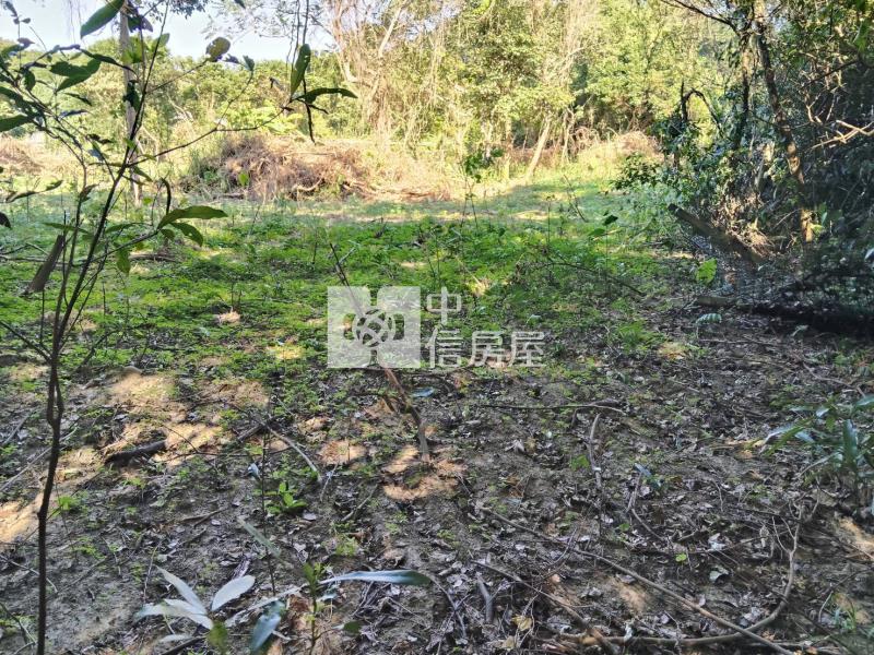 關西市區旁都內田房屋室內格局與周邊環境