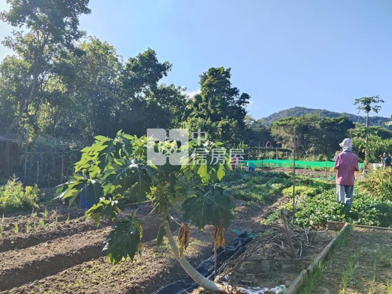 關西市區旁都內田房屋室內格局與周邊環境