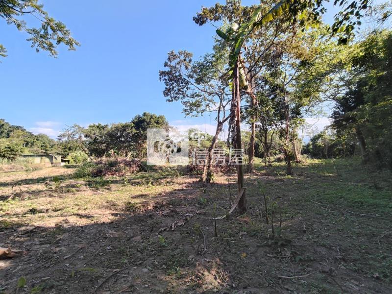 關西市區旁都內田房屋室內格局與周邊環境