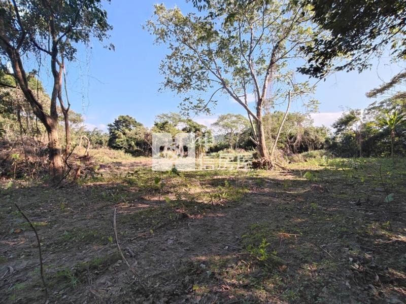 關西市區旁都內田房屋室內格局與周邊環境