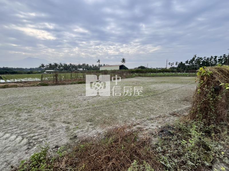 鹽埔新圍活圈.大面寬農地房屋室內格局與周邊環境