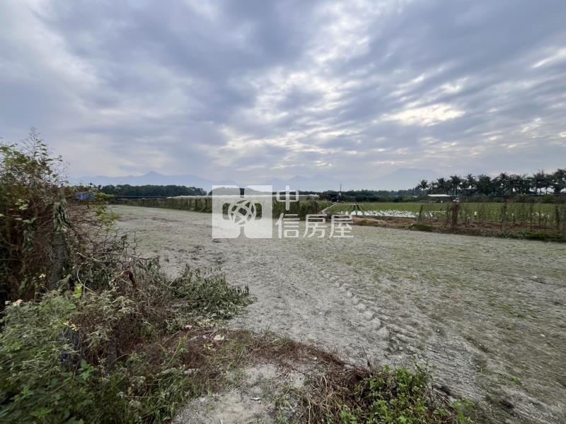 鹽埔新圍活圈.大面寬農地房屋室內格局與周邊環境