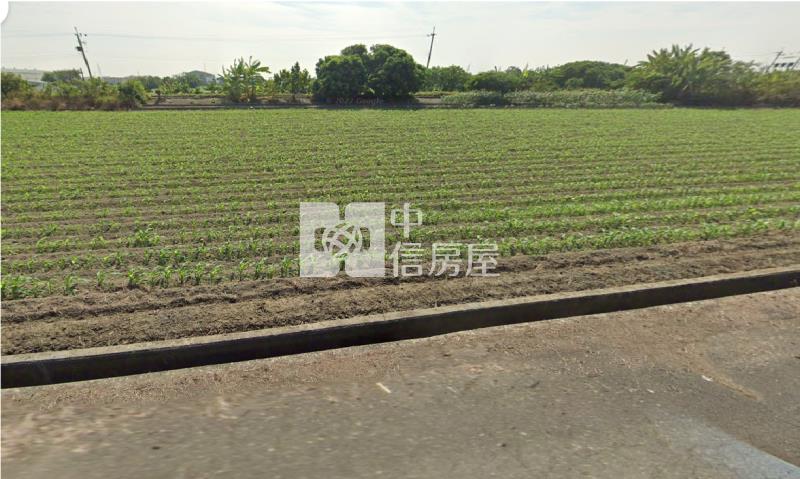 鹽水歡雅國小大面寬農地房屋室內格局與周邊環境