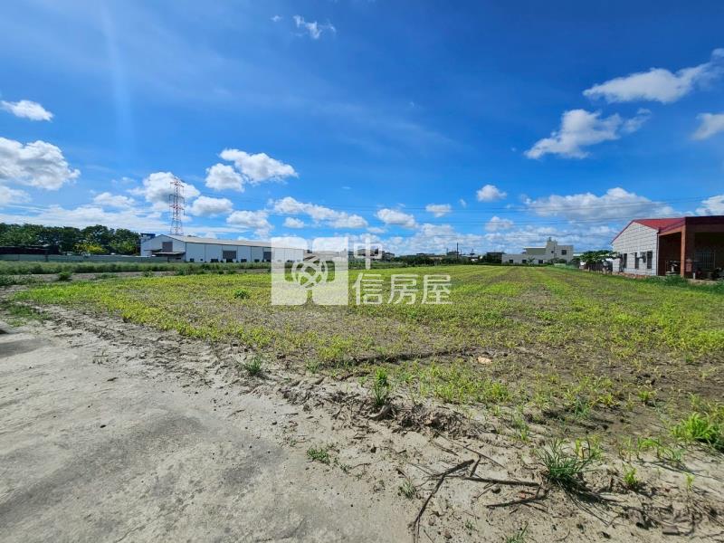 阿蓮中路有水有電方正美農地房屋室內格局與周邊環境