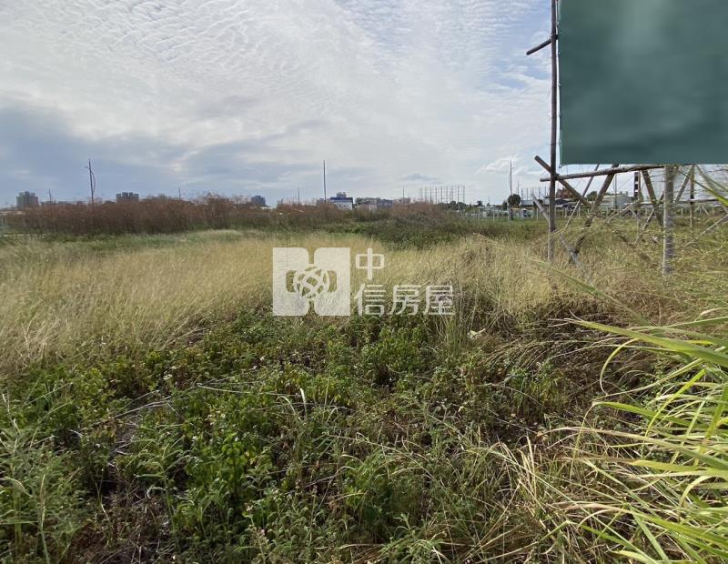 正龍富路大面寬美建地房屋室內格局與周邊環境