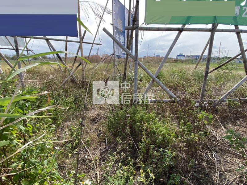 正龍富路大面寬美建地房屋室內格局與周邊環境