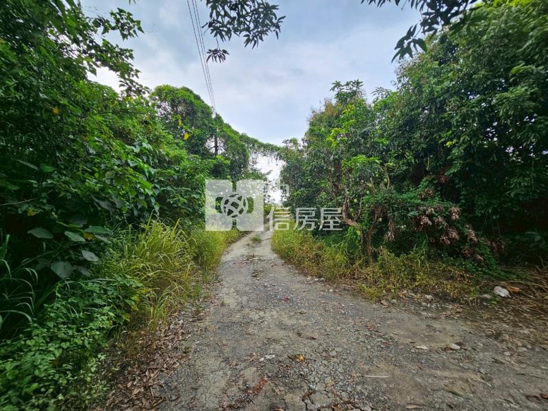 歸仁近高鐵增值農地房屋室內格局與周邊環境