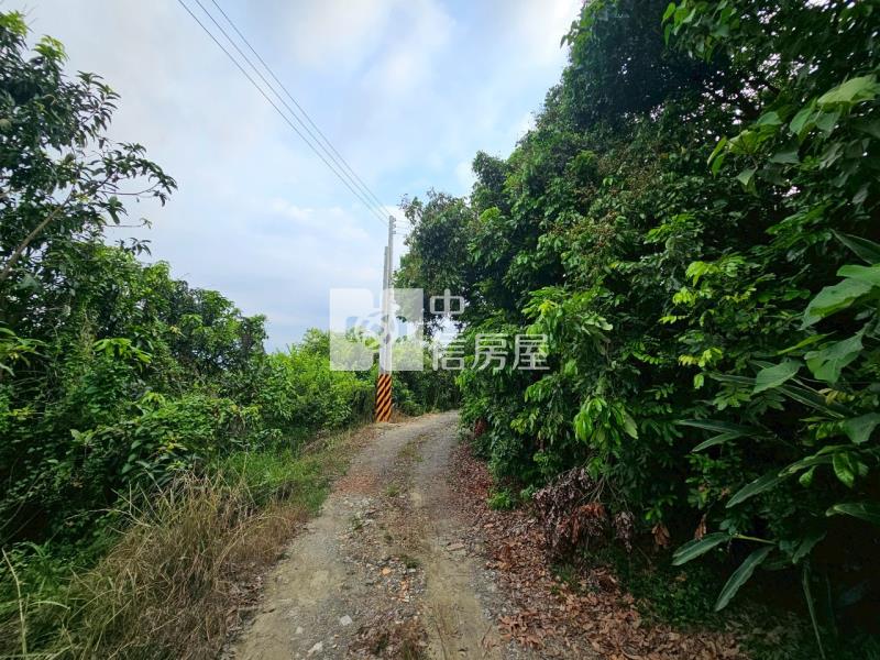 歸仁近高鐵增值農地房屋室內格局與周邊環境