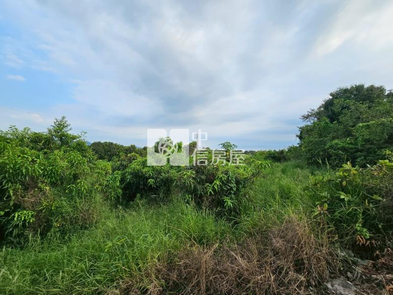 歸仁近高鐵增值農地房屋室內格局與周邊環境