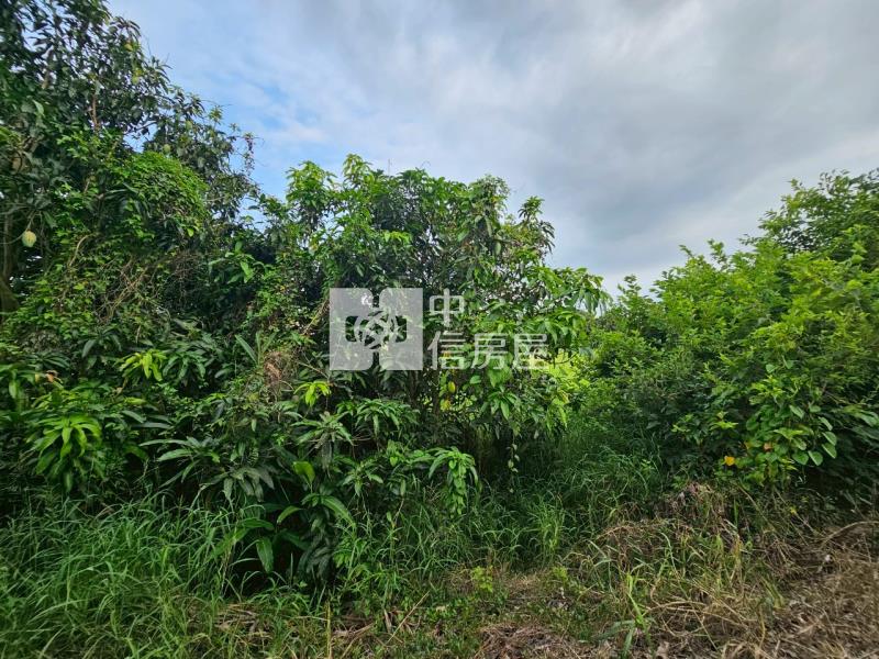 歸仁近高鐵增值農地房屋室內格局與周邊環境