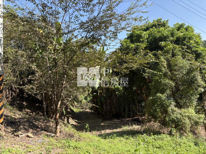 霧峰桐林渡假農地(編號3號)房屋室內格局與周邊環境