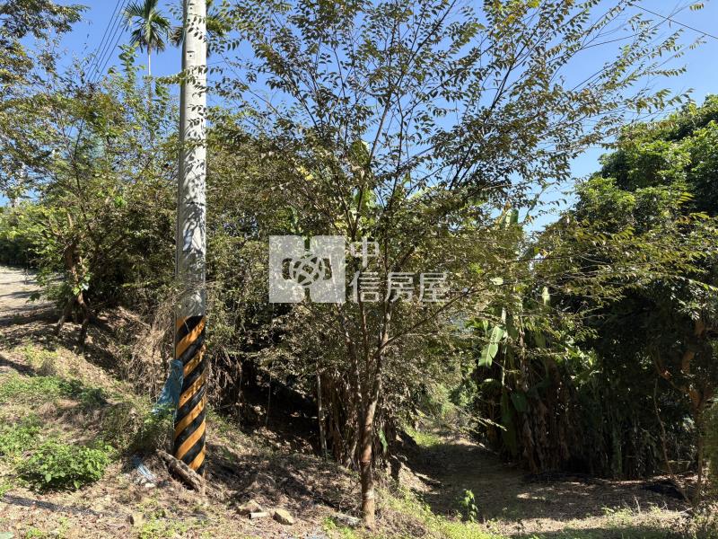 霧峰桐林渡假農地(編號3號)房屋室內格局與周邊環境