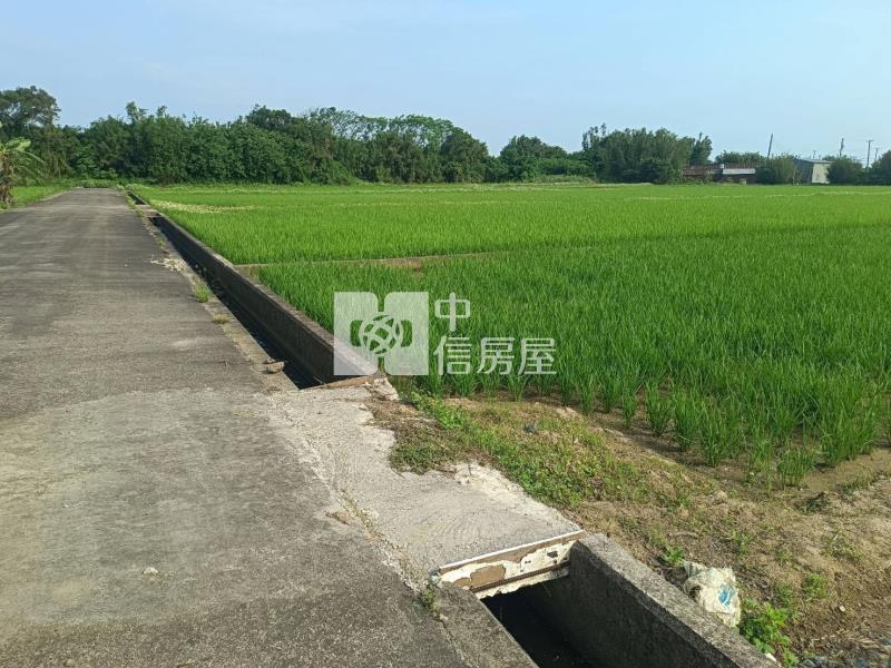 【安家】新屋區大坡美農地房屋室內格局與周邊環境